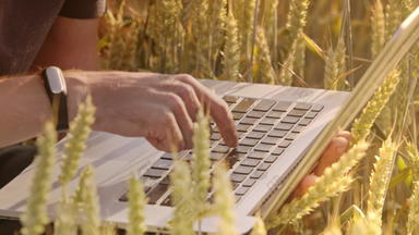 农民<strong>打字电脑键盘</strong>小麦场
